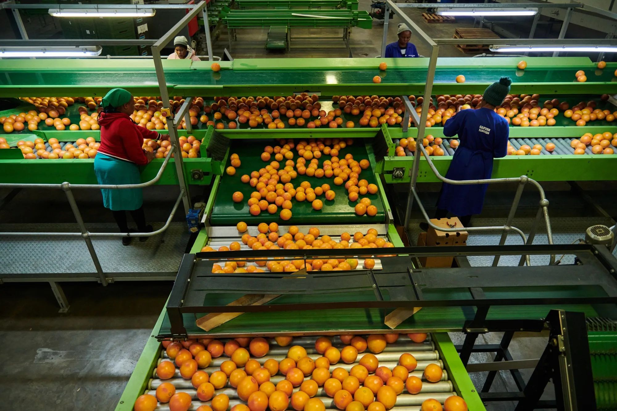 Export readiness for African exporters